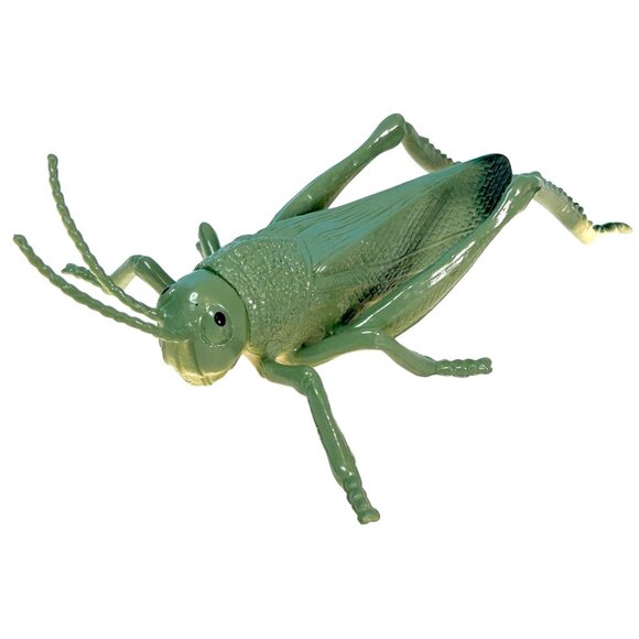 Beautifully Detailed Realistic American Grasshopper Insect Bug PVC Toy Figure‎ - Picture 1 of 6